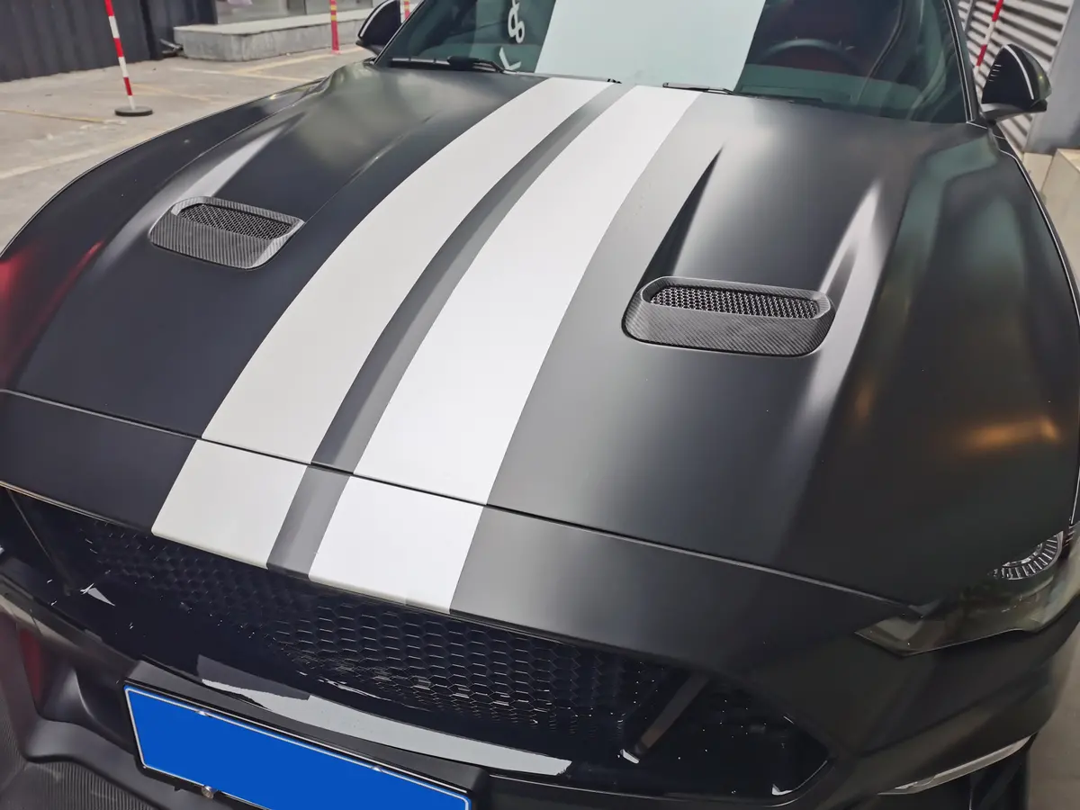 Dynacarbon™️ Carbon Hood Air Intake Vent Cover For Ford Mustang 2018-2023 (Fits Ecoboost And Gt Models Only) 1