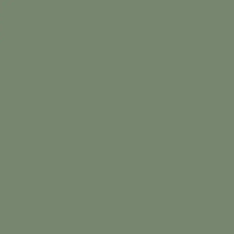 William Morris At Home Peel & Stick Sample - Outstretch 1