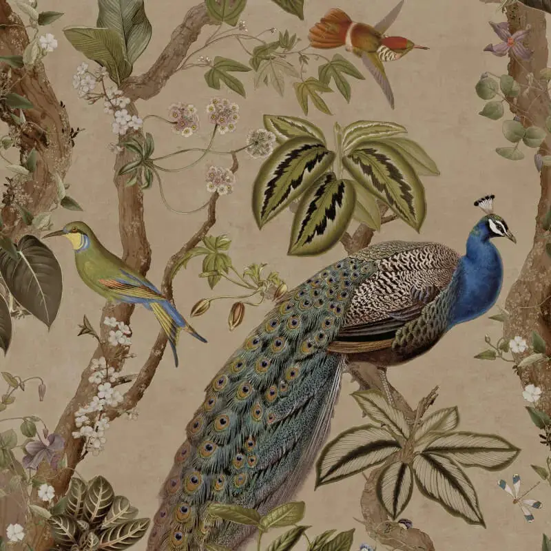 Whispering Peacock Woods Wallpaper 1