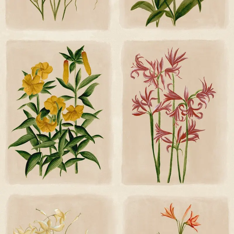 Laura Ashley Pershore Postcards Wallpaper Sample 1