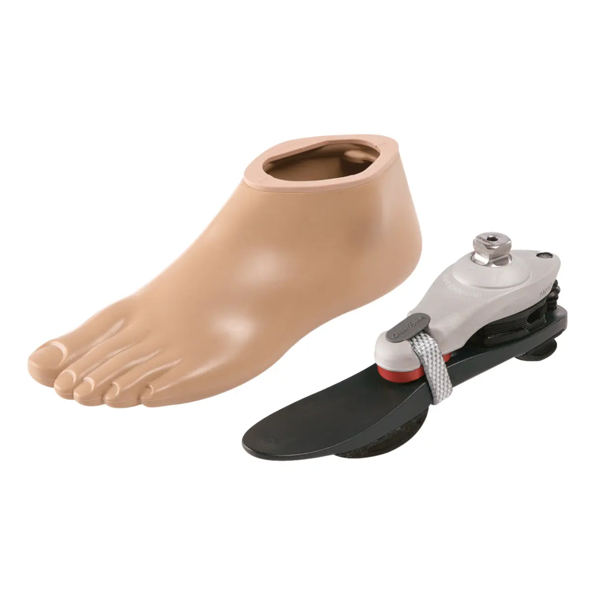 Grace Foot (Left/Right) - Keel, Footshell And  Adapter 1