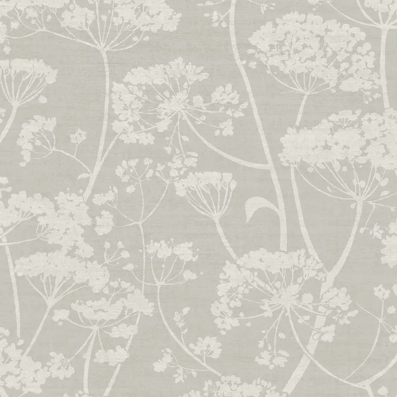 Cow Parsley Floral Trail Wallpaper Grey Sample 1