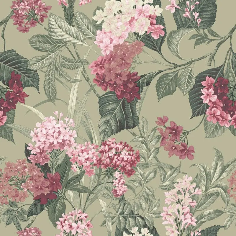 Misaki Beautiful Bloom Floral Sage / Pink Wallpaper Sample 1