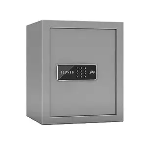 Godrej Security Solutions Godrej Nx Pro Digital (40L) Ebony Home Locker 1