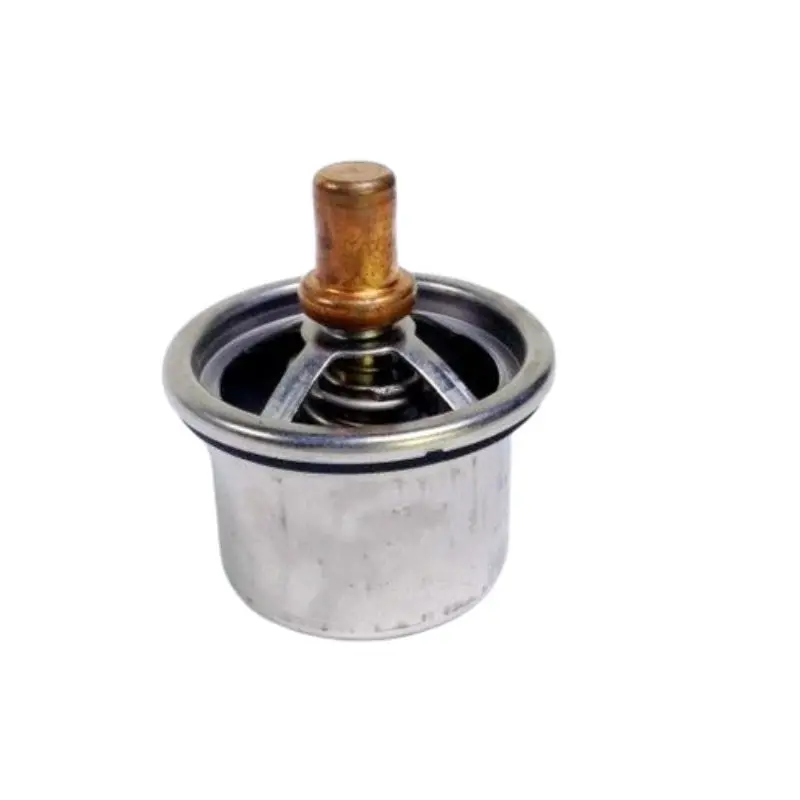 2477133 Regulator Thermostat Fits For Cat Caterpillar 1