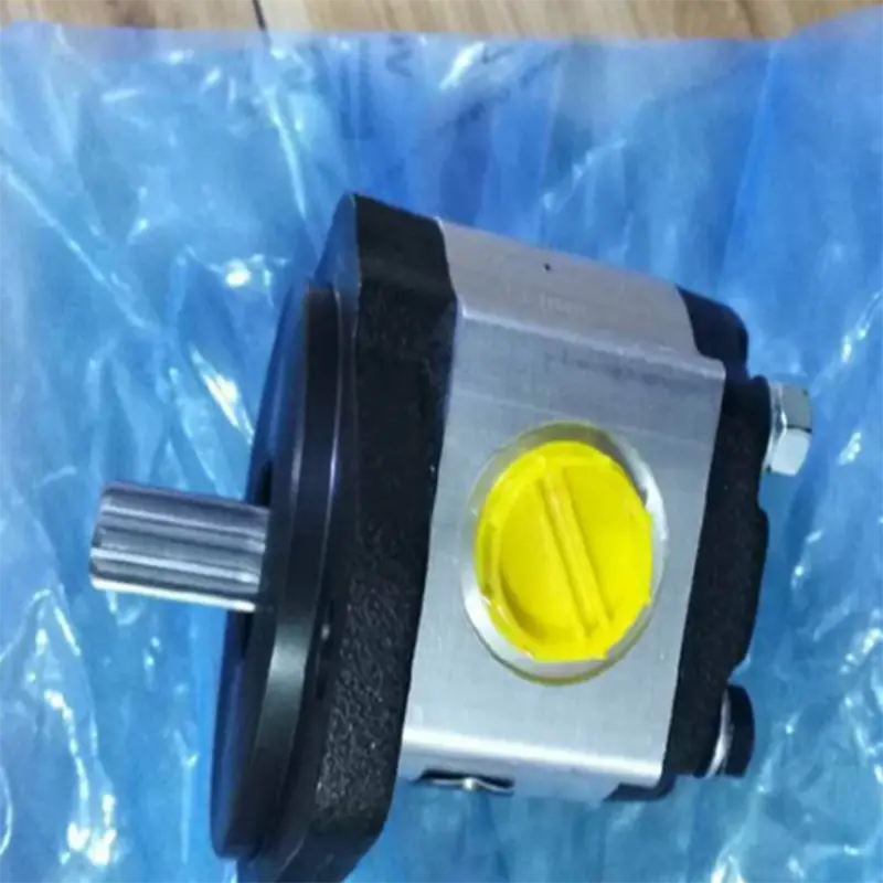 202010000034 Oem New Replacement 202010000034  Gear Pump For Sinoboom 202010000034 1