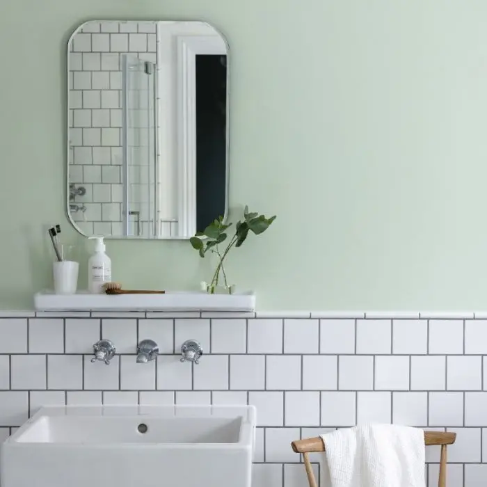 Craig & Rose 1829 Paint - Soft Green 2