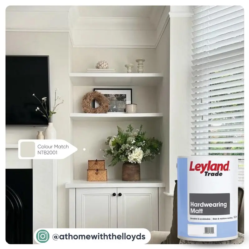 Transform Your Living Room - Colour Match Paint 1