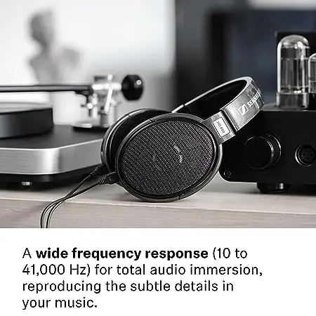 Sennheiser Hd 650 1