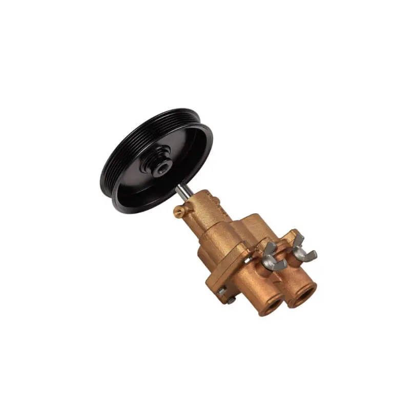 Diselmart Raw Sea Water Pump With Pulley 46-8M0118067 46-862914T10 468M0122655 For Mercury Mercruiser Engine 4.3L 5.0L 5.7L 6.2L 350 357 383 Mag Mpi 1