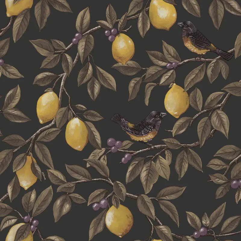 Ponderosa Lemon Trail Wallpaper Sample - Charcoal 1