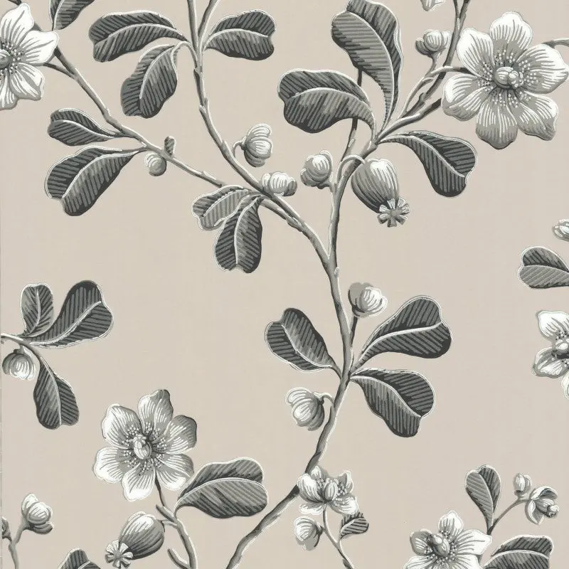 Little Greene Broadwick St Wallpaper Sample - Mono 1