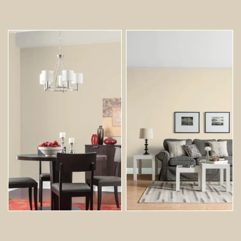 Dco Colour Of The Year - Champagne Spritz 2