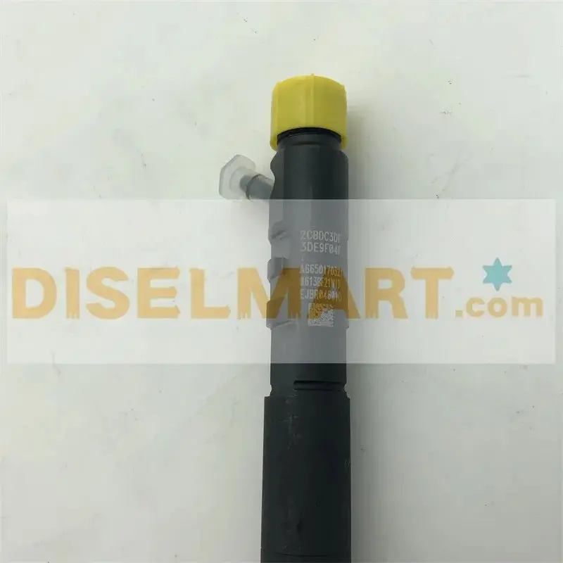 Diselmart Common Rail Injection Nozzle Ejbr04601d Ejbr04501d Ejbr04701d Ejbr03401d Ejbr04301d Ejbr05301d Ejbr03301d Ejbr05501d For Deiphi 2