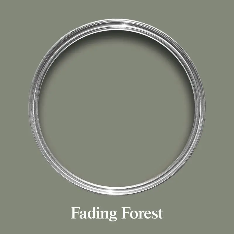 Fading Forest - Dco Warehouse Clearance 1