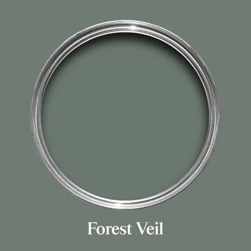 Forest Veil - Dco Warehouse Clearance 1