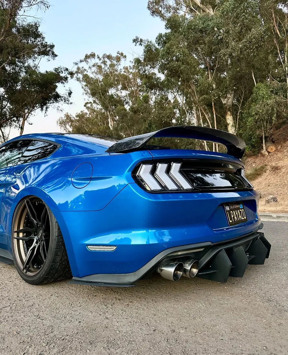 Dynacarbon™️ Gt350r Style Carbon Rear Spoiler For Ford Mustang Coupe 2015-2023 2