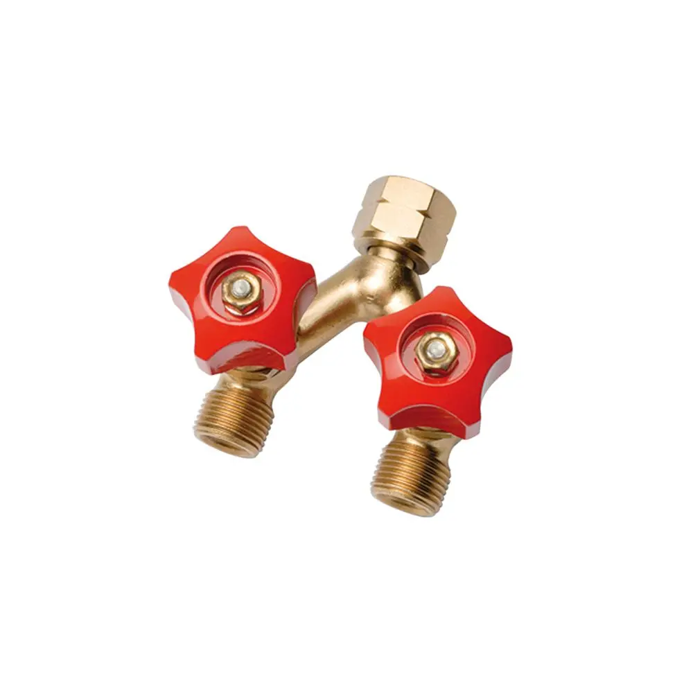 Acetylene Double Outlet Valve 1