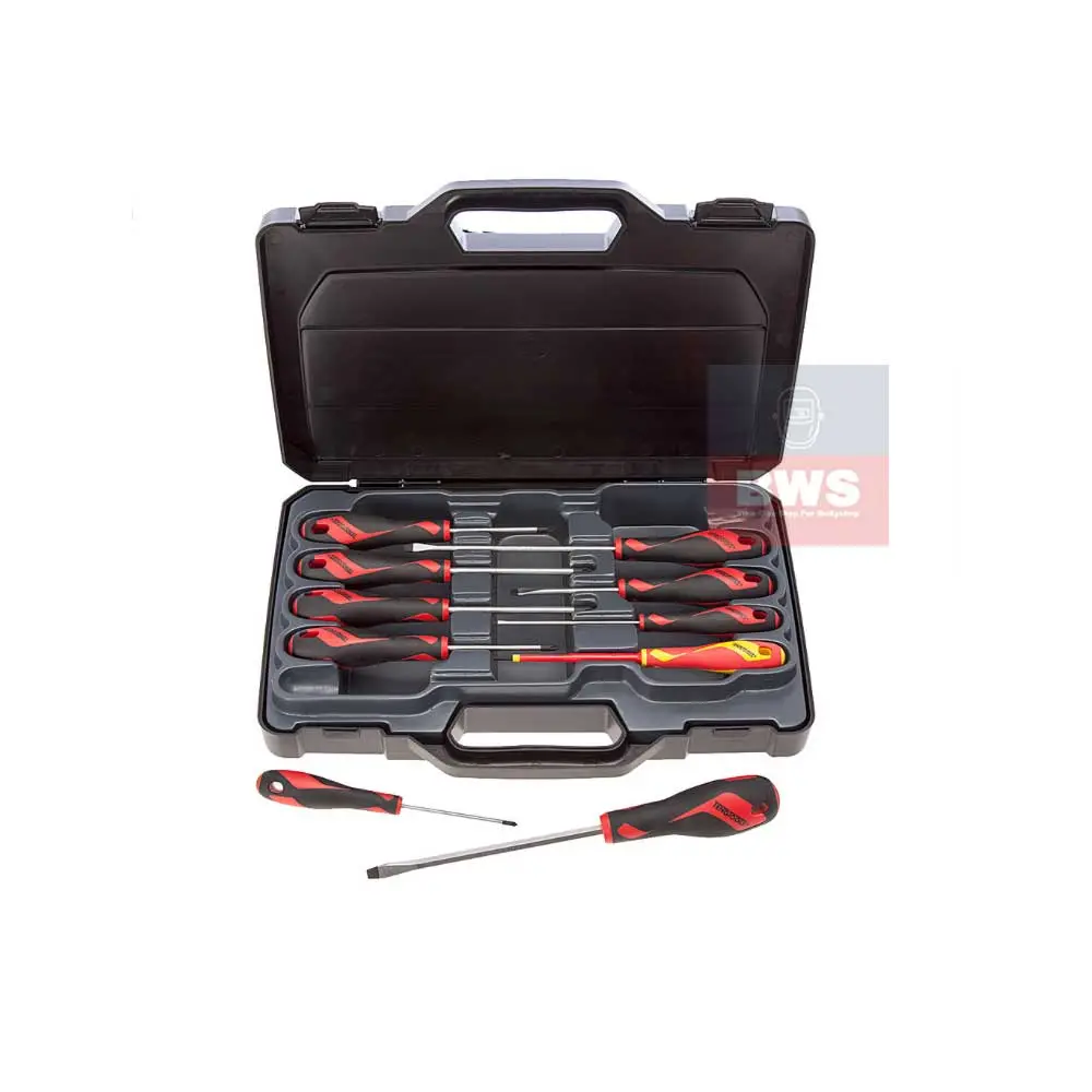Screwdriver 10 Piece Set With Case 1
