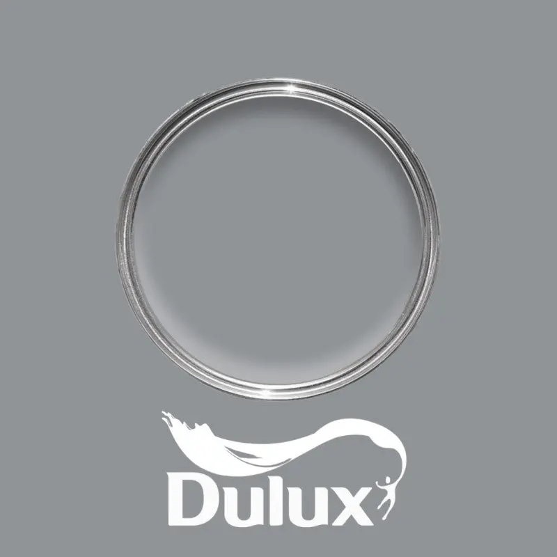 Dulux Natural Slate 1