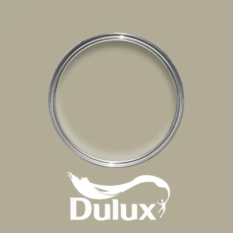 Dulux Overtly Olive 1