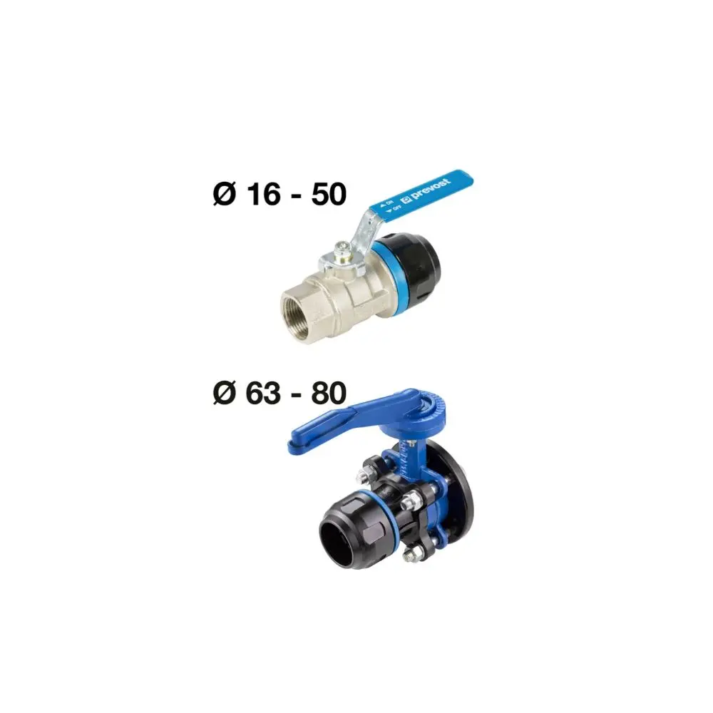 Prevost Pps1 Rsif - Parallel Female Thread Valve 1