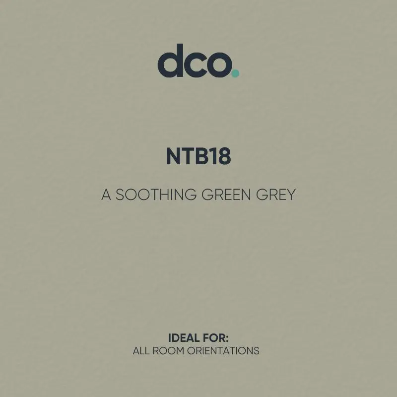 Crown Vinyl Matt- Designer Colour Match Paint - Ntb18 5L 1