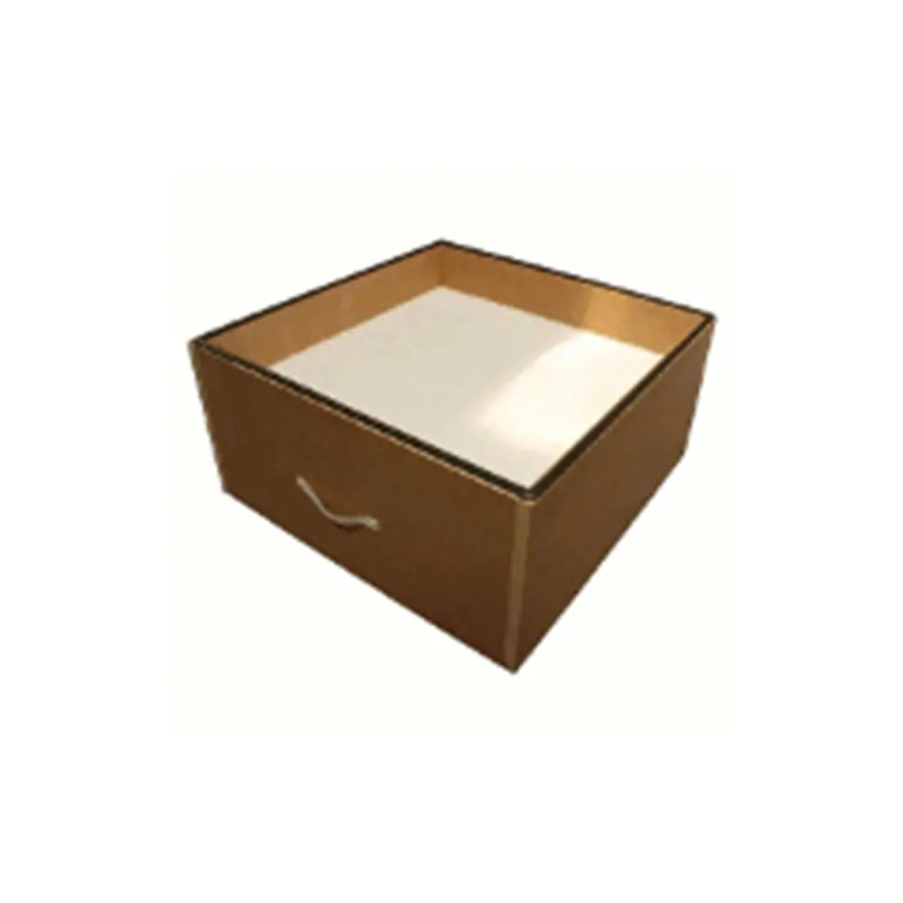 Protectoxtract Main Filter 1