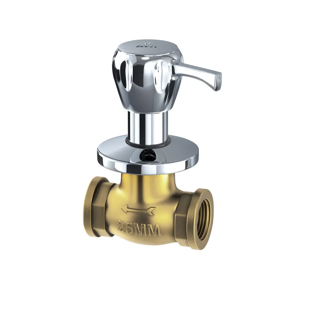 Essco  Sumthing Special Flush Cock With Wall Flange 25Mm Size With Lever Handle Excellent Quality  Spl-Chr-551 1