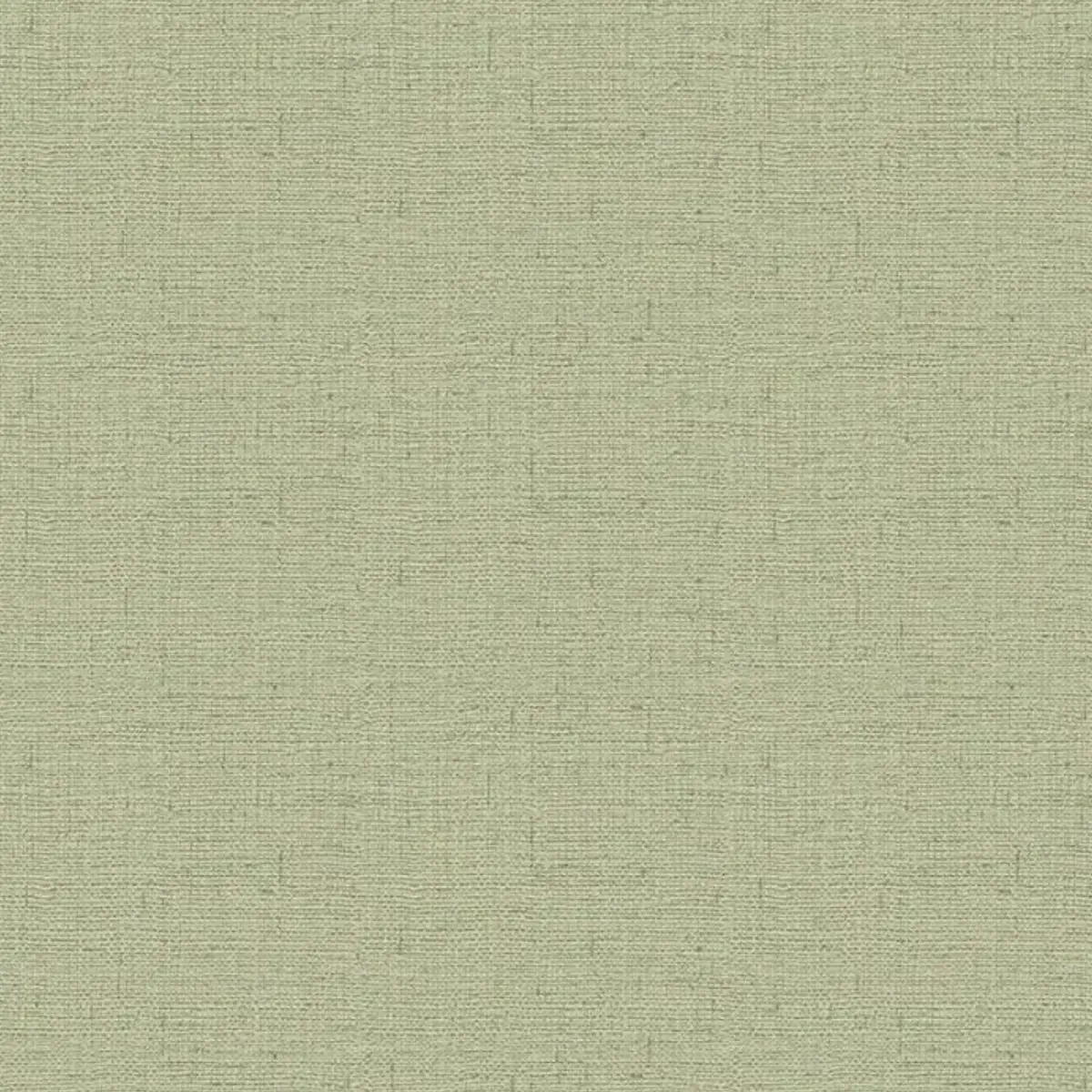 Maya Plain Texture Wallpaper - Green Sample 1