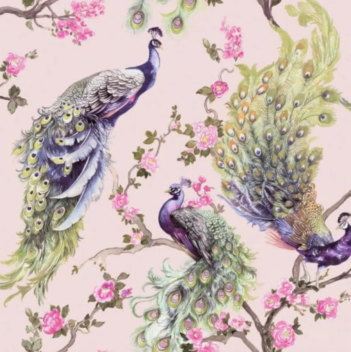 Menali Glitter Peacock Wallpaper-Pink Sample 1