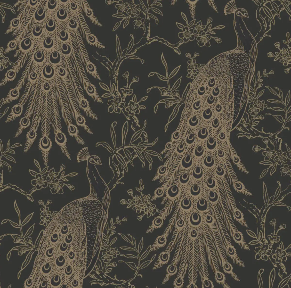 Metallic Peacock Wallpaper Black & Gold Sample 1