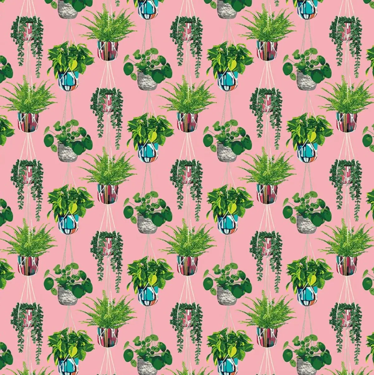 Ohpopsi Houseplant Wallpaper Bubblegum Sample 1