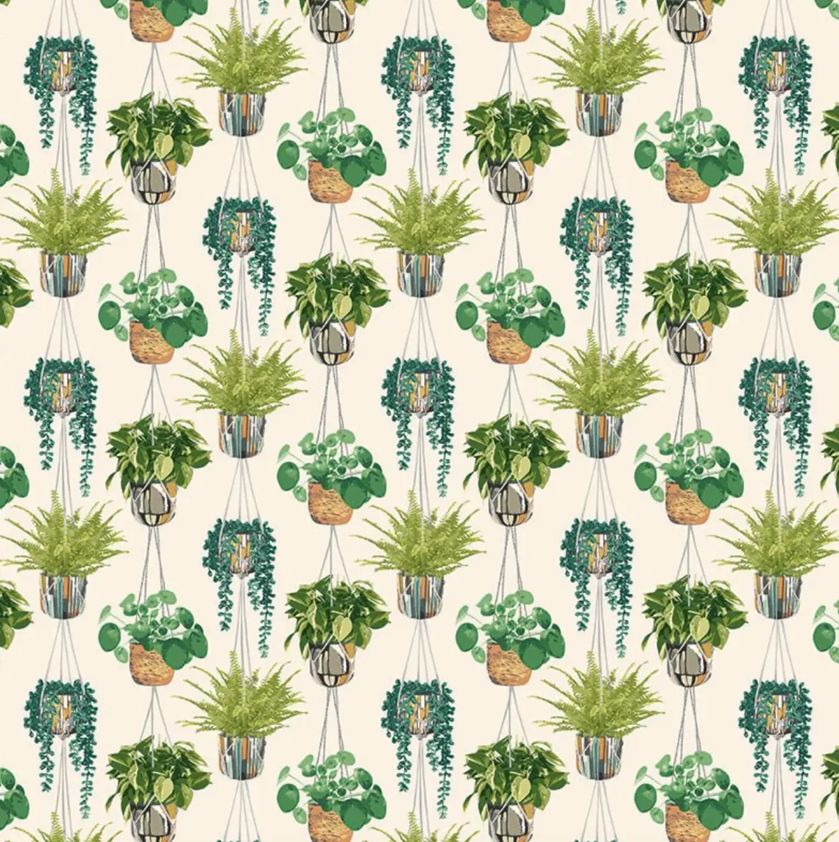 Ohpopsi Houseplant Wallpaper Sage & Cider Sample 1