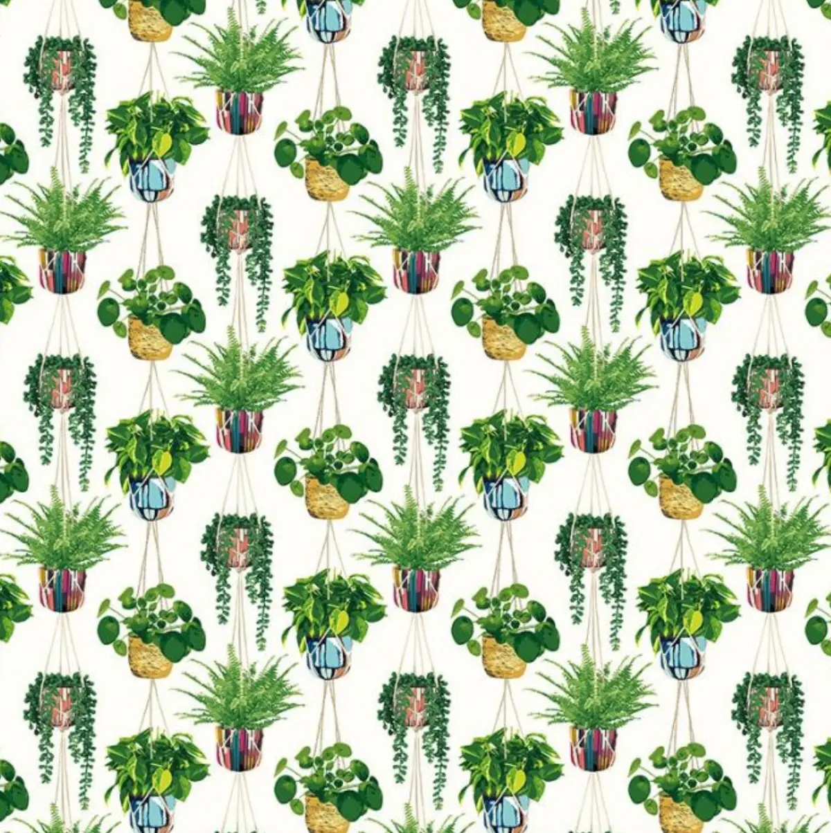Ohpopsi Houseplant Wallpaper Parakeet Sample 1
