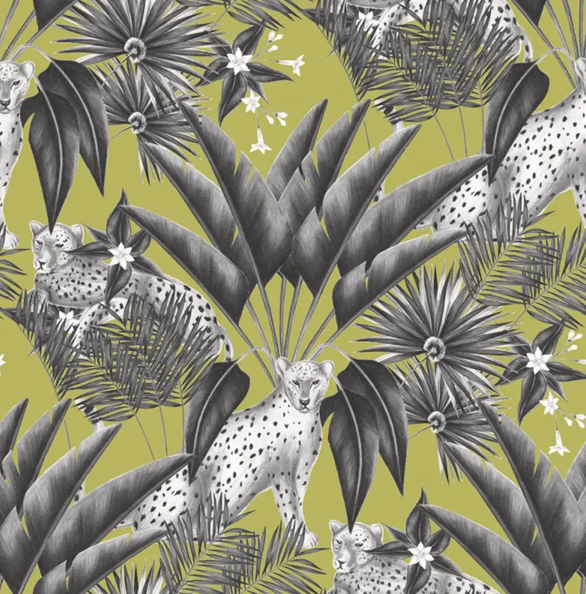 Ohpopsi Jungle Cheetah Wallpaper Sable & Lime Sample 1