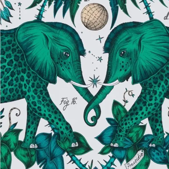 Clarke & Clarke Zambezi Wallpaper- Green Sample 1
