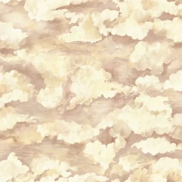 Sora Cloud Wallpaper - Coral Sample 1