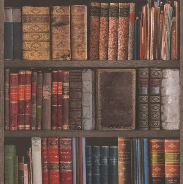 Library Bookcase Wallpaper Sample 1