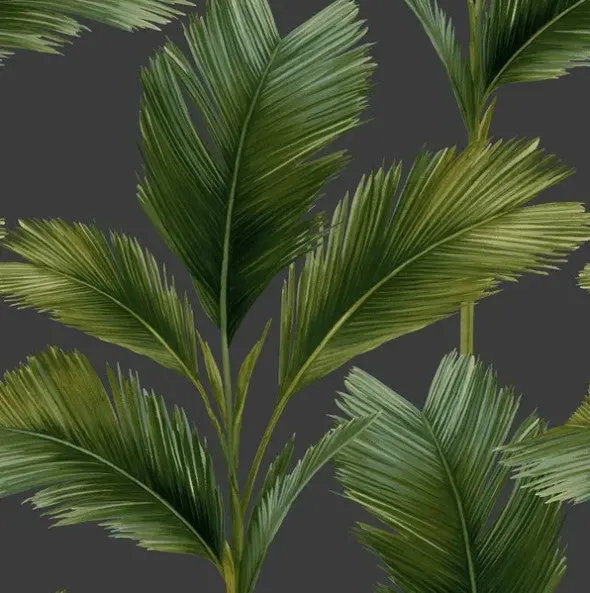 Kailani Palm Leaf Wallpaper Charcoal/Green Sample 1