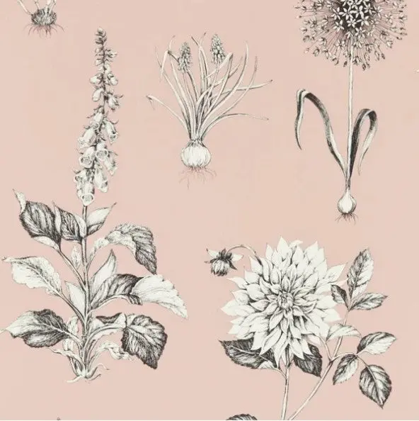 Clarke & Clarke Roseraie Wallpaper - Blush Sample 1