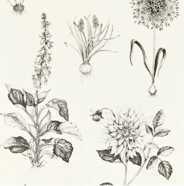 Clarke & Clarke Roseraie Wallpaper - Charcoal Sample 1