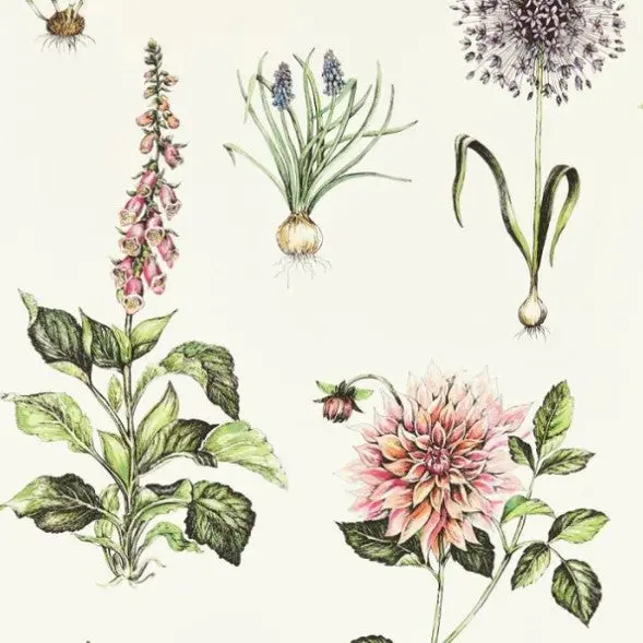 Clarke & Clarke Roseraie Wallpaper - Summer Sample 1