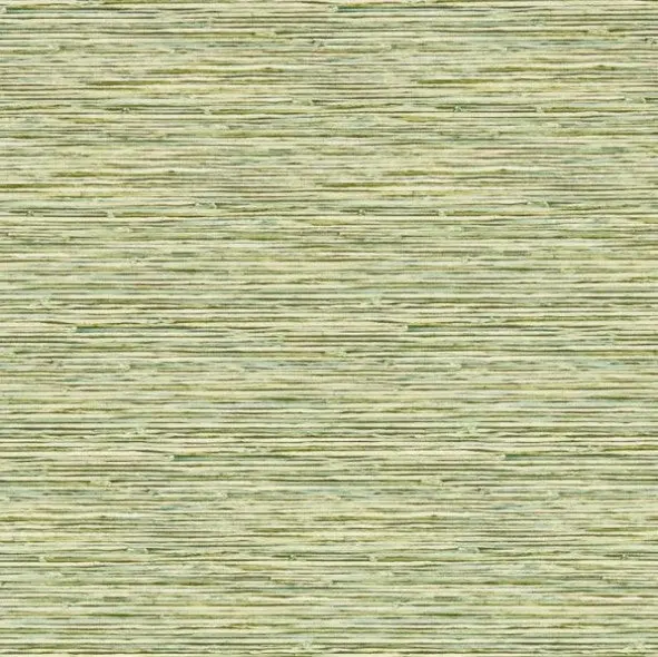 Clarke & Clarke Xan Wallpaper - Palm Sample 1