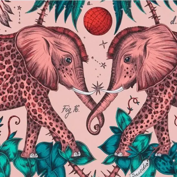 Clarke & Clarke Zambezi Wallpaper- Pink Sample 1