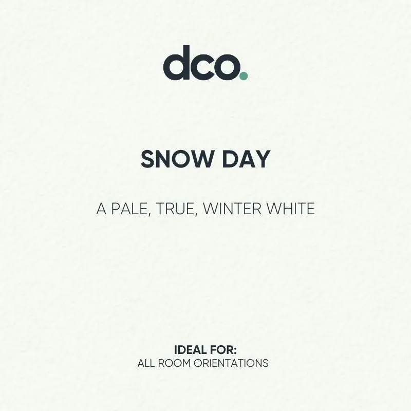 Crown Vinyl Matt - Designer Colour Match Paint - Snow Day 5L 1