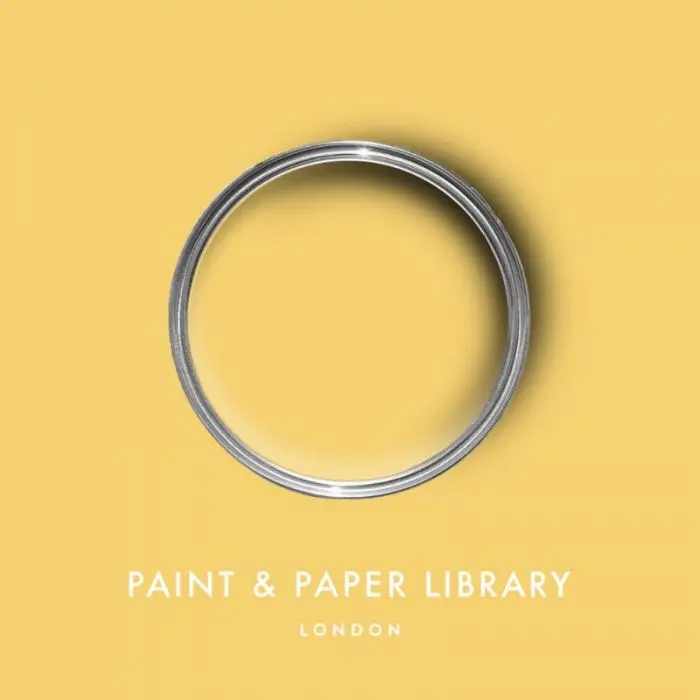Paint & Paper Library - Brimstone (476) 1
