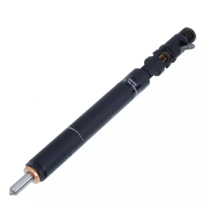 Diselmart Common Rail Injection Nozzle Ejbr04601d Ejbr04501d Ejbr04701d Ejbr03401d Ejbr04301d Ejbr05301d Ejbr03301d Ejbr05501d For Deiphi 1