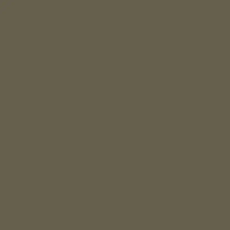 Farrow & Ball Carte Blanche Paint Sample Swatch - Cardamom 1
