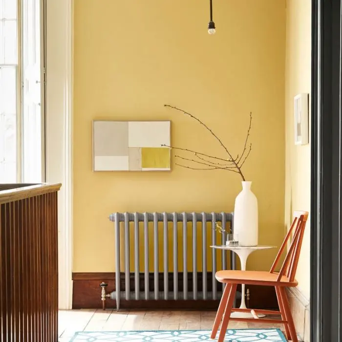 Little Greene - Light Gold (53) 2